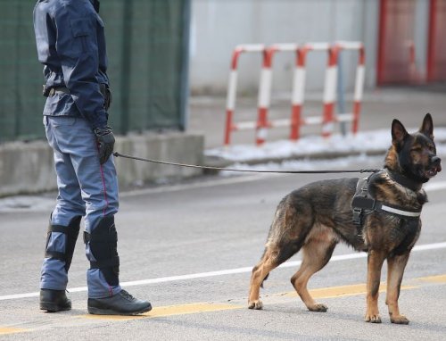 Agent de sécurité avec chien Paris